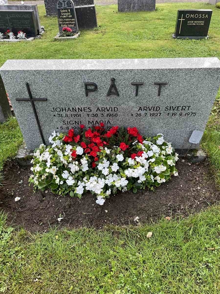 Gravnummer: N 4 3   378