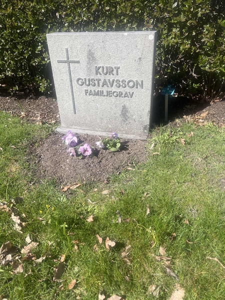 Grave number: 1 3 F1 196