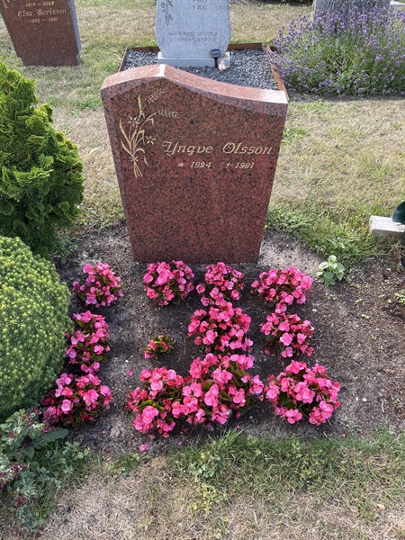 Grave number: NK XX:u   284