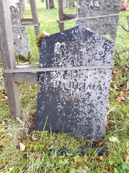 Hautatunnus: GK A 4   232H