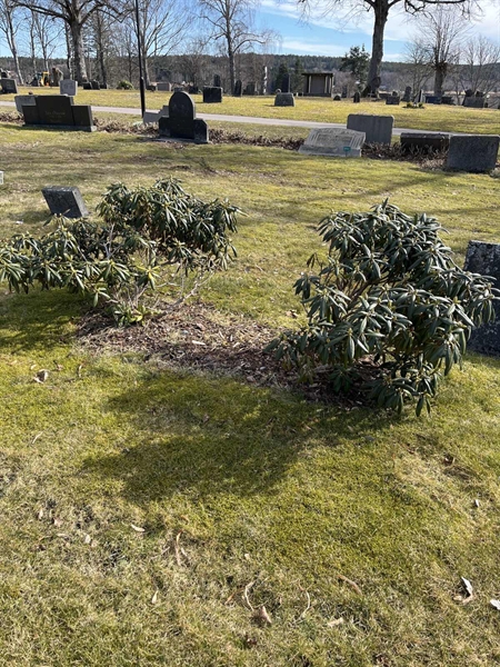Hautatunnus: Ärt 44 15 287