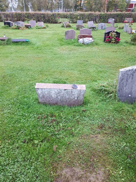 Hautatunnus: NK F B  1029