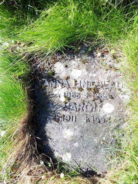 Hautatunnus: NK F G   286