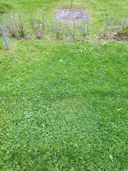 Gravnummer: NK F G    65