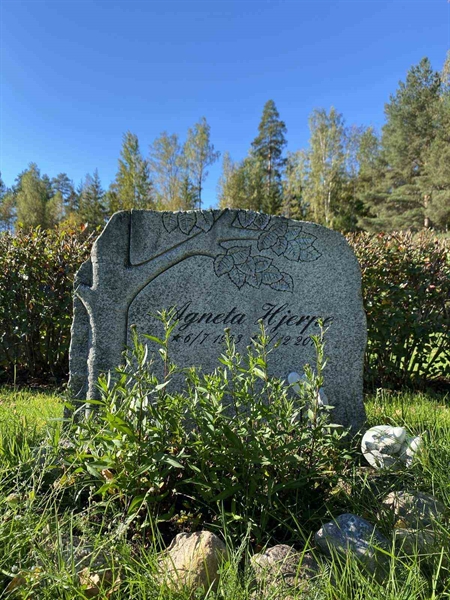 Hautatunnus: 1 22     22