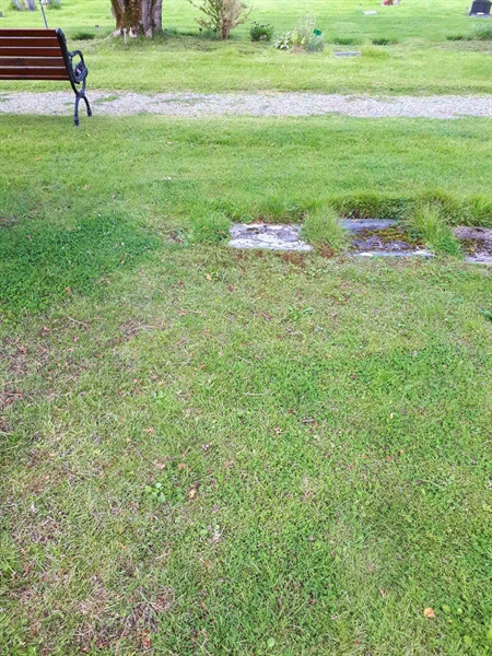 Gravnummer: NK A A   162