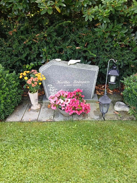 Grave number: ÖB 29    65, 66
