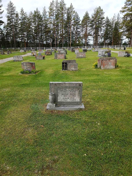 Hautatunnus: VLM 04     3:1-2