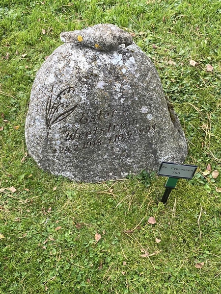 Hautatunnus: 2 C   708