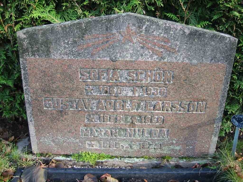 Grave number: KV D   81a-c