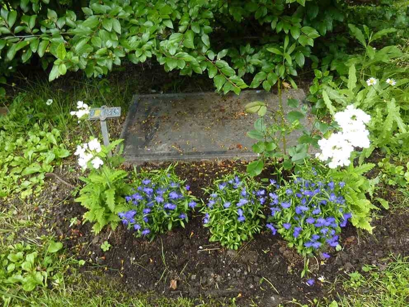 Grave number: 1 G  126