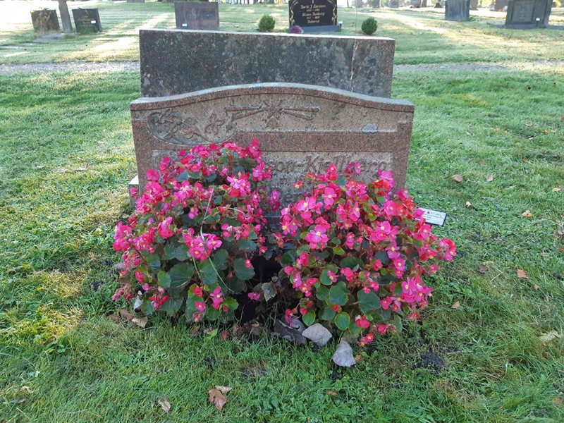 Hautatunnus: Fr 7   357-358