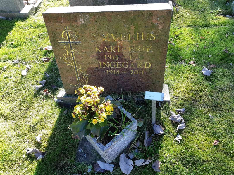 Hautatunnus: Fr 7   703