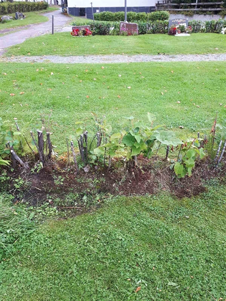 Gravnummer: NK F A    39