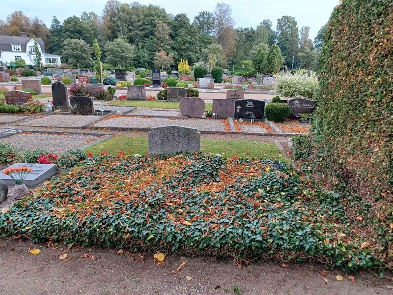 Grave number: OS D    78, 79, 80, 81