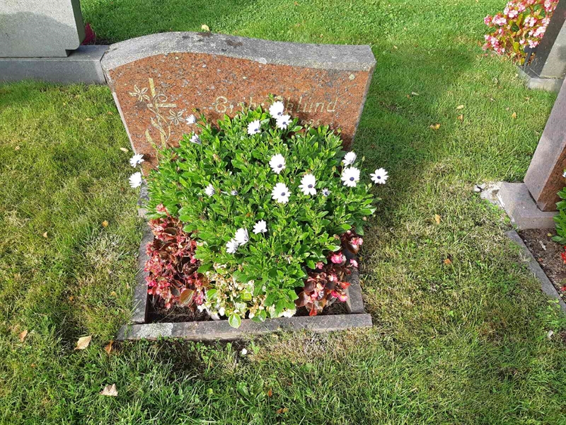 Hautatunnus: Fr 8   519