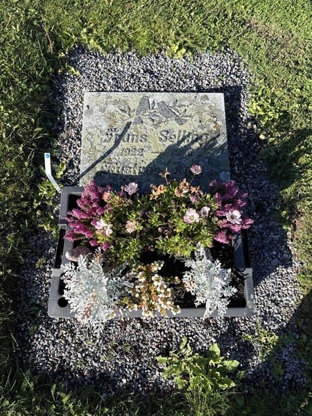 Grave number: 4 N NF   156