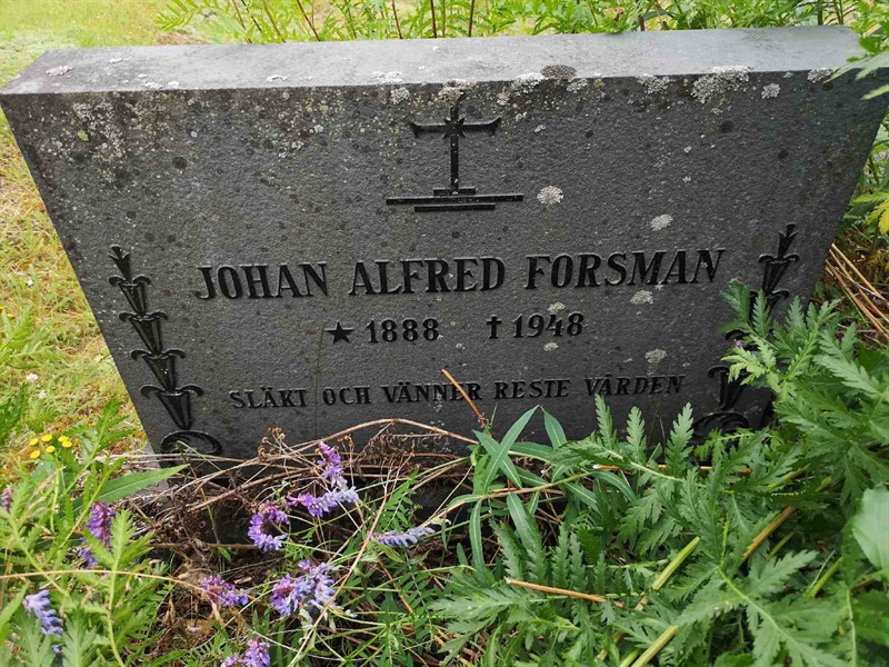 Gravnummer: SK L     6