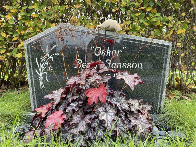 Hautatunnus: 1 21     U4