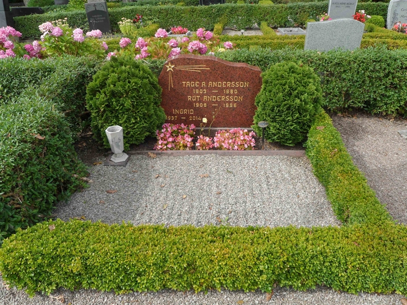 Grave number: HGK 3    82
