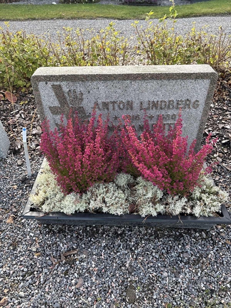 Grave number: 4 N ND    46