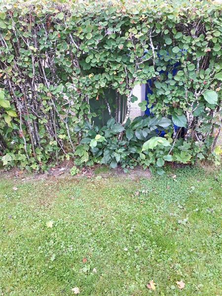 Gravnummer: NK F G    62