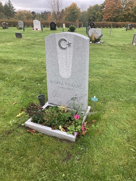 Hautatunnus: 1 3 M/Be   116