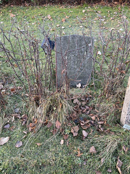 Gravnummer: GK A 3   493