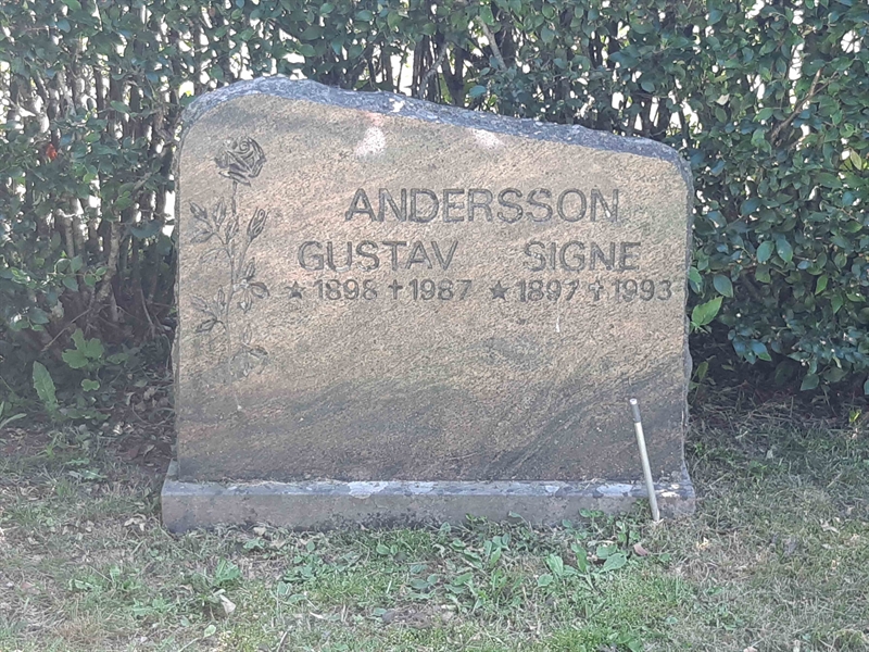 Grave number: VI 03   741