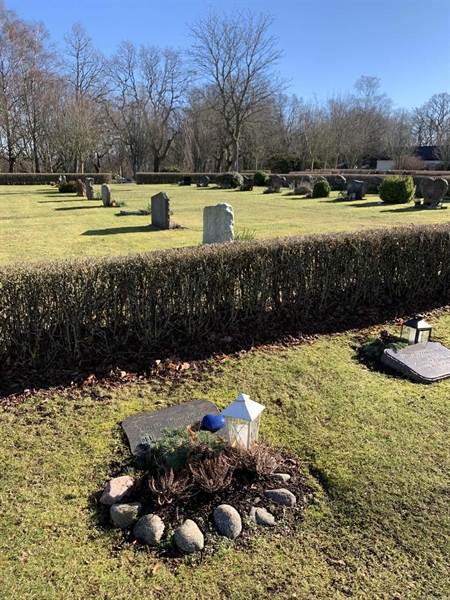 Grave number: SÖ O    81