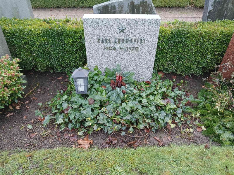 Hautatunnus: Si U     3