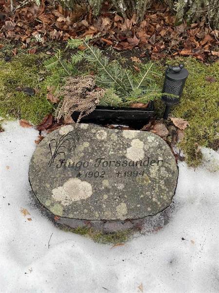 Gravnummer: SJ N     2