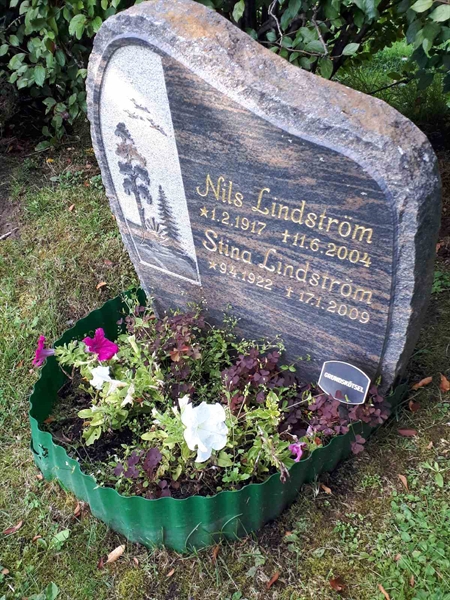 Hautatunnus: NK F D   458