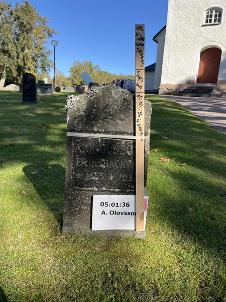 Hautatunnus: 05 01   193-194