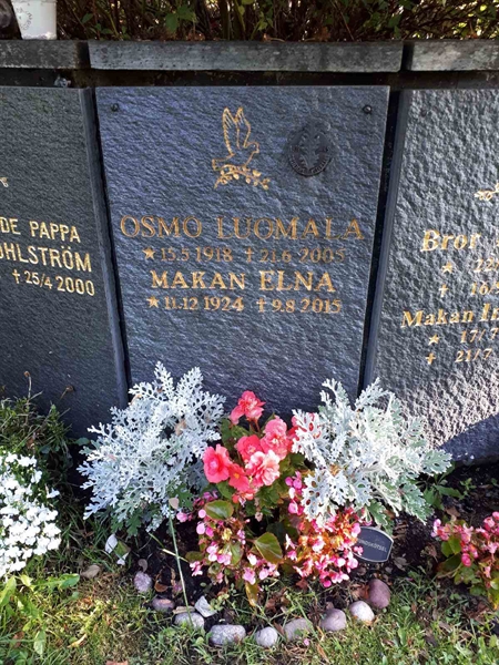 Hautatunnus: GK U 4   390