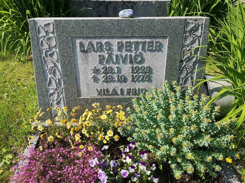 Hautatunnus: NK 06    47