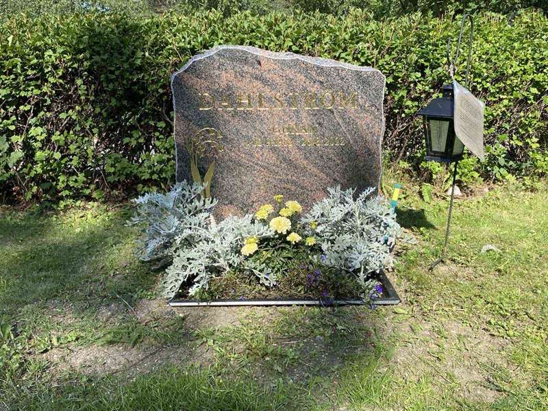 Grave number: 3 20   105