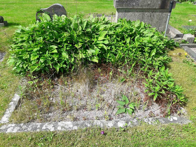 Grave number: BR G   119
