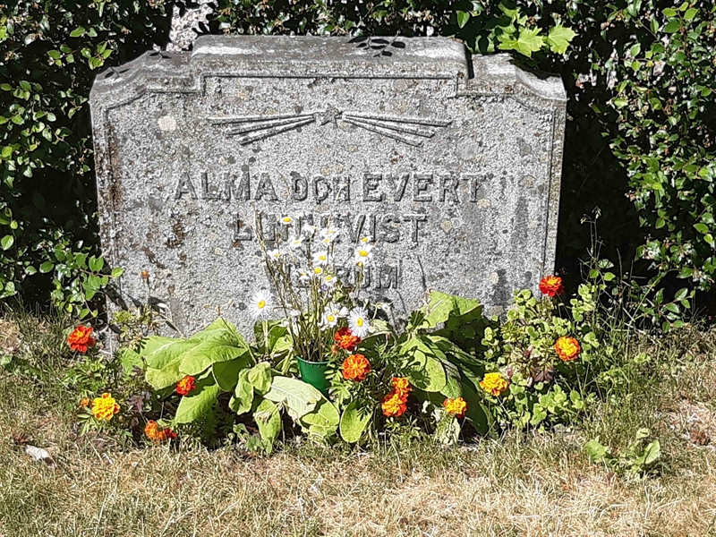Grave number: VI 02   736