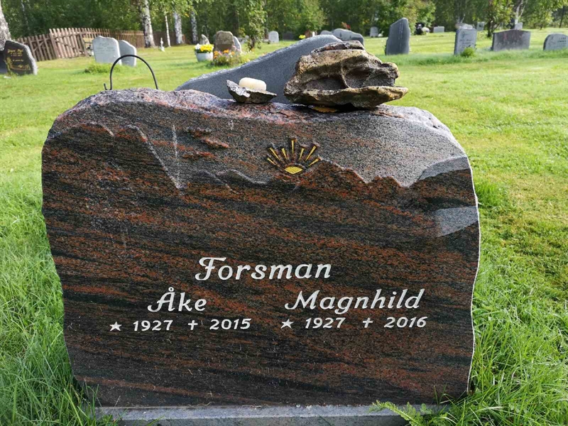 Hautatunnus: NK 20    71-72