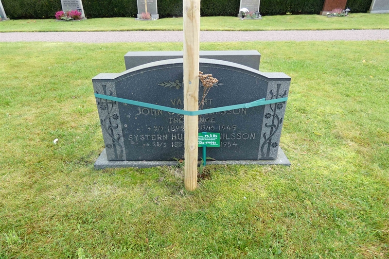 Grave number: TR 3    84