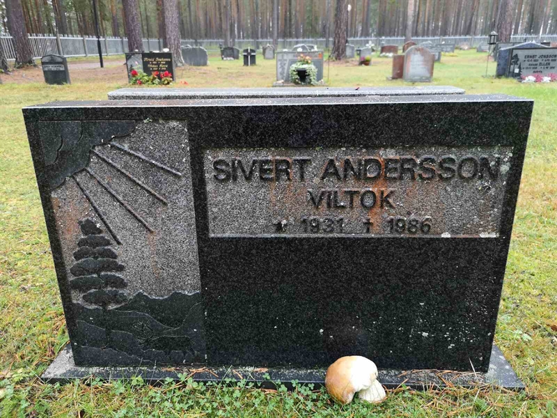 Hautatunnus: VLM 15    24-25