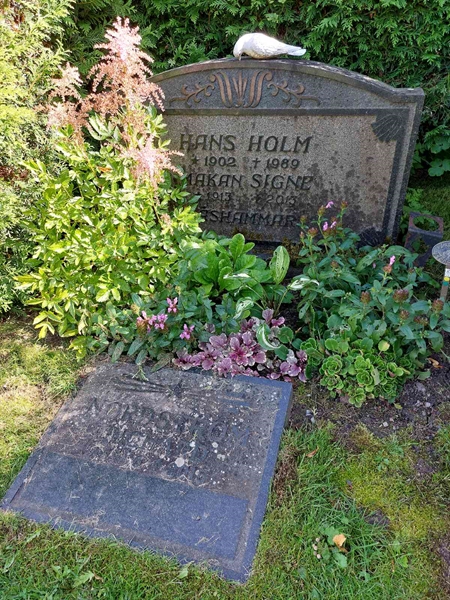 Hautatunnus: 1 D   071