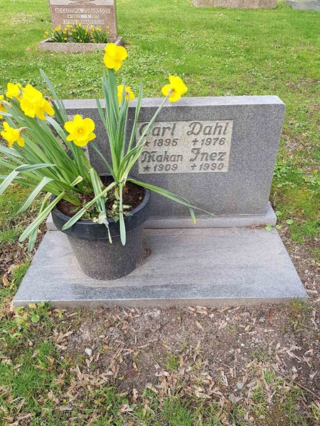 Grave number: 01  3463