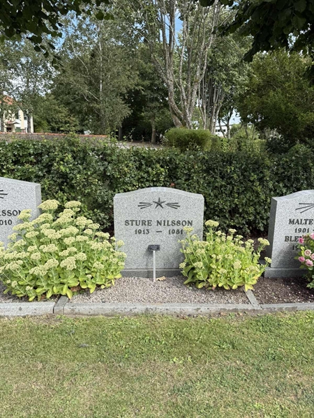 Grave number: ON C   629