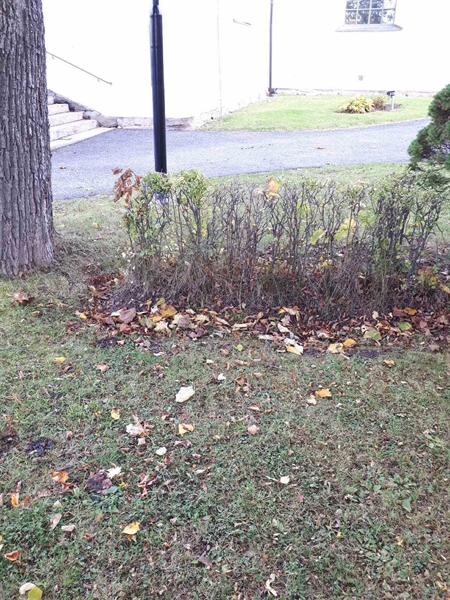 Grave number: GK F 1    62