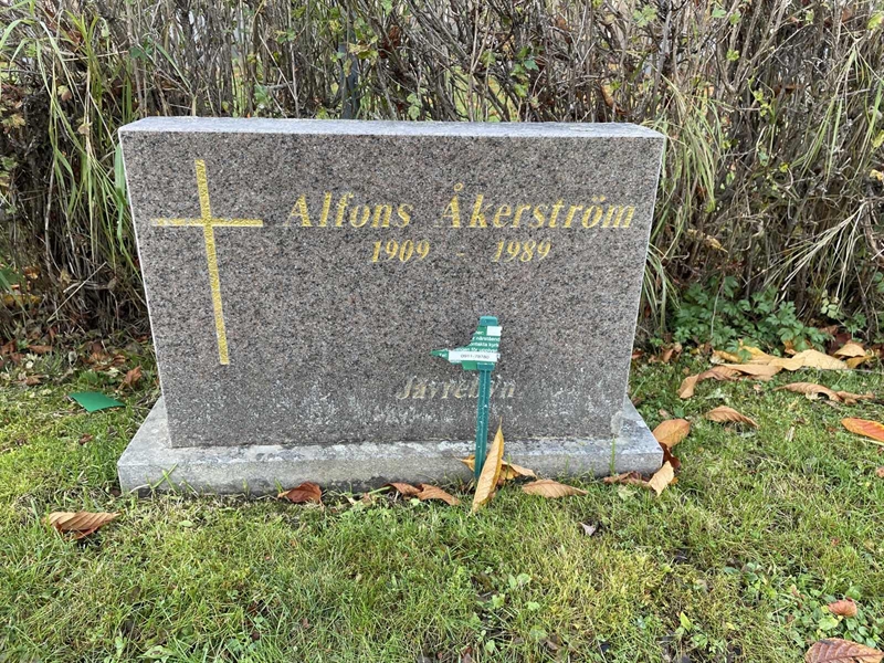 Grave number: 1 E  1909Allm