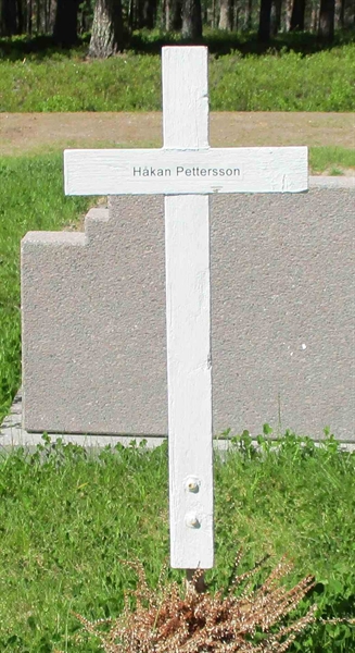 Hautatunnus: 1 23    66