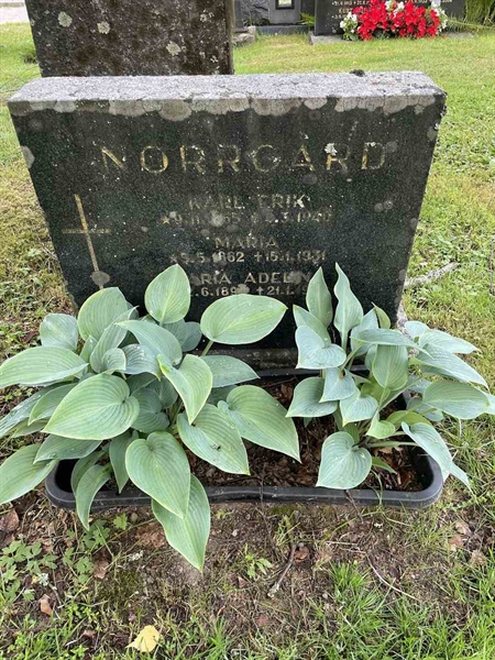 Gravnummer: N 4 3   404-405