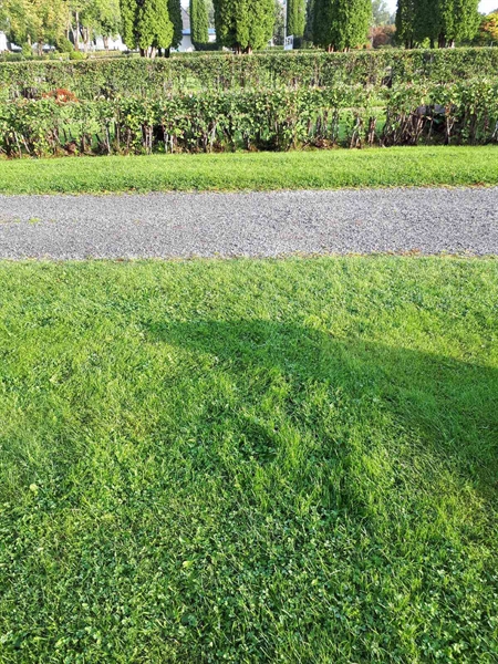 Hautatunnus: NK F D    12